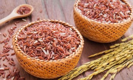 Penjelasan Beras Merah Yang Sangat Bermanfaat