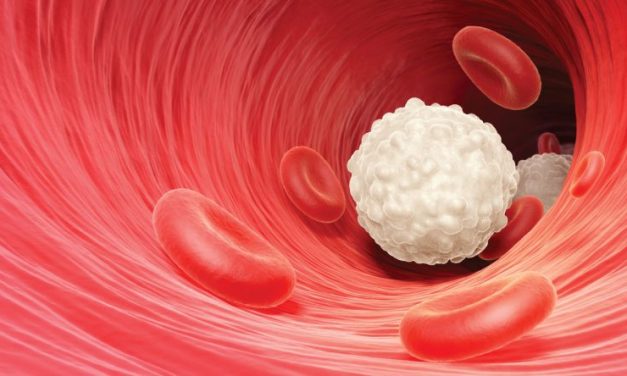 Kekurangan Sel Darah Bisa Membuat Lemas Tubuh