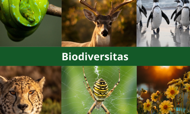 Biodiversitas Keanekaragaman Hayati Yang Memiliki Peran Besar