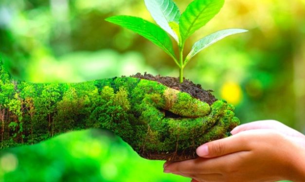 Gaya Hidup Berkelanjutan Menuju Masa Depan Yang Lebih Hijau
