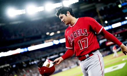 Baseball Indonesia 2025: Dari Kejurnas Hingga Panggung Asia