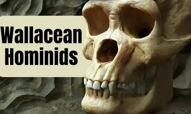 Wallacean Hominids: Jejak Manusia Purba Di Kepulauan Terpencil