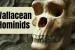 Wallacean Hominids