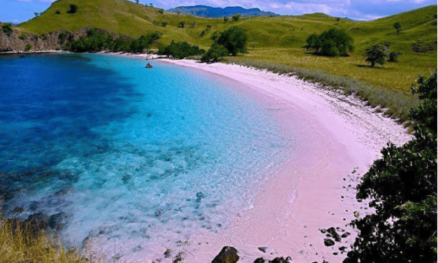 Keajaiban Alam! Inilah 5 Pantai Pink Langka Wajib Dikunjungi