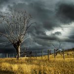 Masih Akan Berlanjut? Simak Bocoran BMKG Soal Cuaca Ekstrem