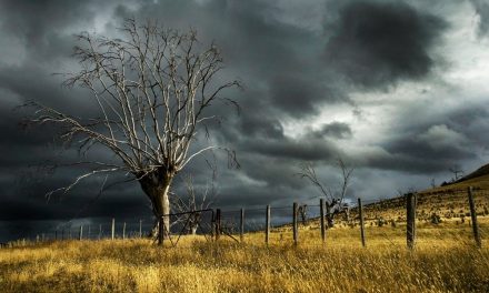 Masih Akan Berlanjut? Simak Bocoran BMKG Soal Cuaca Ekstrem