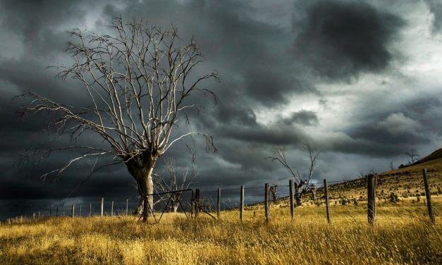 Masih Akan Berlanjut? Simak Bocoran BMKG Soal Cuaca Ekstrem