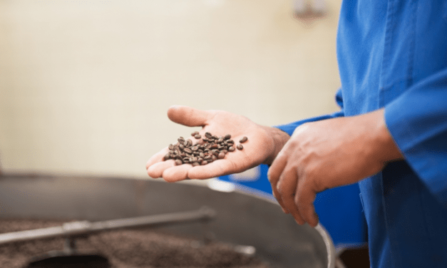 Darurat Kopi! Harga Bakal Naik Drastis Tahun Ini