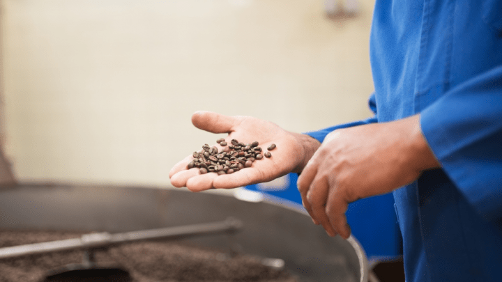 Darurat Kopi! Harga Bakal Naik Drastis Tahun Ini