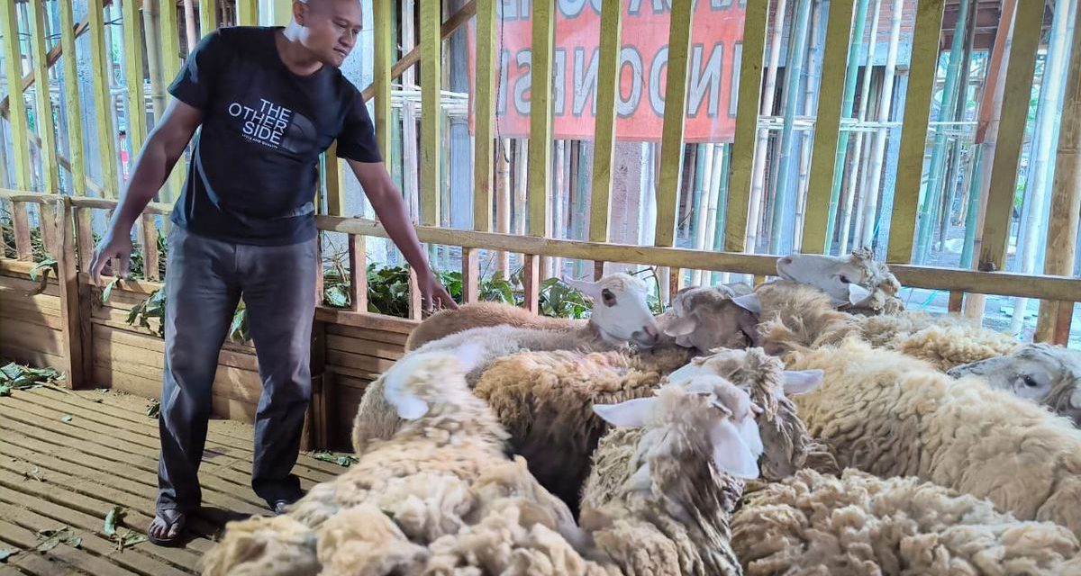 Pakan Dari Limbah Nyamplung, Ampuh Tekan Emisi!