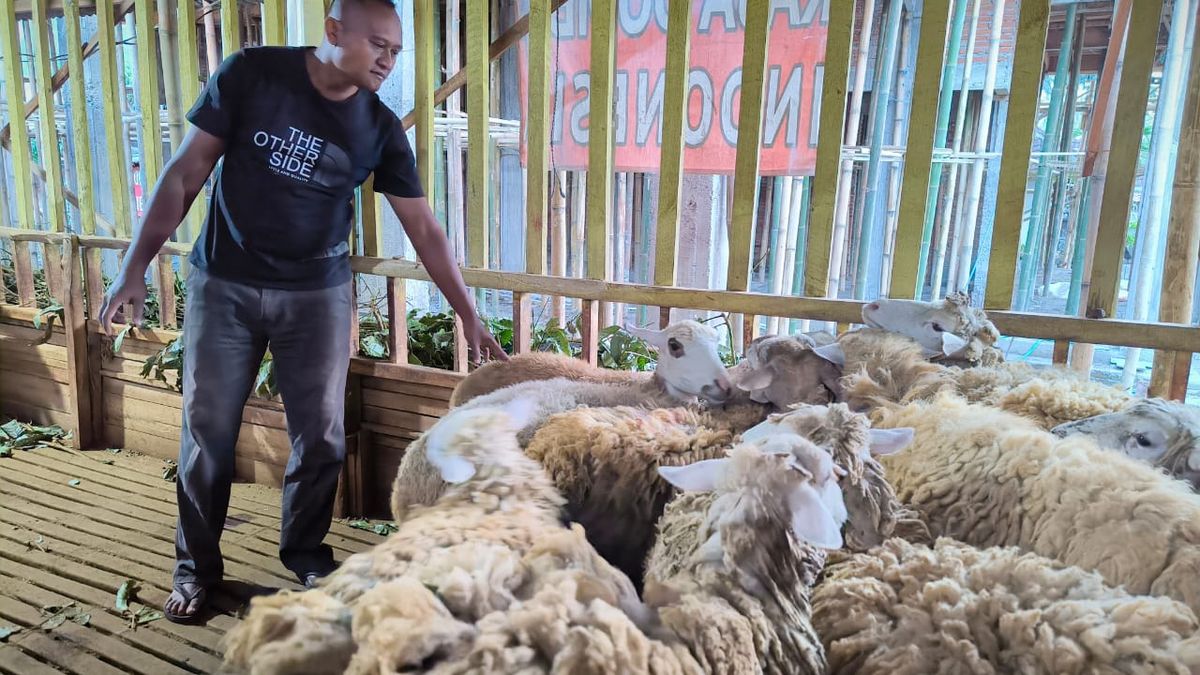 Pakan Dari Limbah Nyamplung, Ampuh Tekan Emisi!