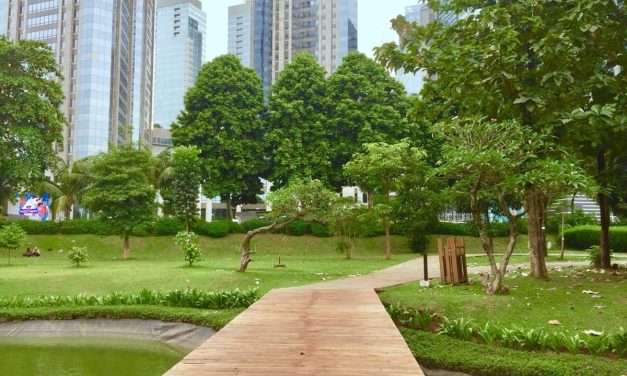 4 Pilihan Aktivitas Piknik Hemat di Hutan Kota GBK